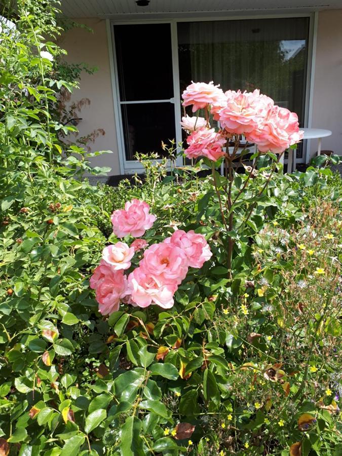 Entire House, Quiet City Location, Garden, Parking ビーレフェルト エクステリア 写真